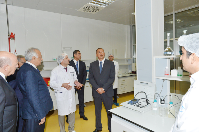 Prezident İlham Əliyev Kürdəmirdə heyvandarlıq və süd kompleksi ilə tanış olub (FOTO)