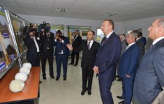 Ağcabədidə “Aqat-aqro” heyvandarlıq kompleksi fəaliyyətə başlayıb (FOTO)