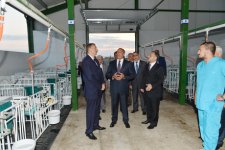 Ağcabədidə “Aqat-aqro” heyvandarlıq kompleksi fəaliyyətə başlayıb (FOTO)