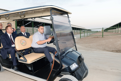 Ağcabədidə “Aqat-aqro” heyvandarlıq kompleksi fəaliyyətə başlayıb (FOTO)
