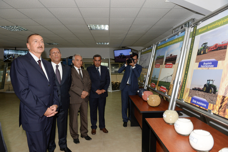 Ağcabədidə “Aqat-aqro” heyvandarlıq kompleksi fəaliyyətə başlayıb (FOTO)