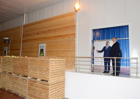 İlham Əliyev Gədəbəydə süd emalı zavodu və tərəvəz məhsullarının tədarükü, saxlanılması və satışı kompleksi ilə tanış olub (FOTO)
