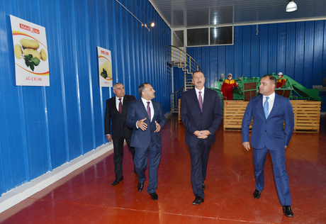 İlham Əliyev Gədəbəydə süd emalı zavodu və tərəvəz məhsullarının tədarükü, saxlanılması və satışı kompleksi ilə tanış olub (FOTO)