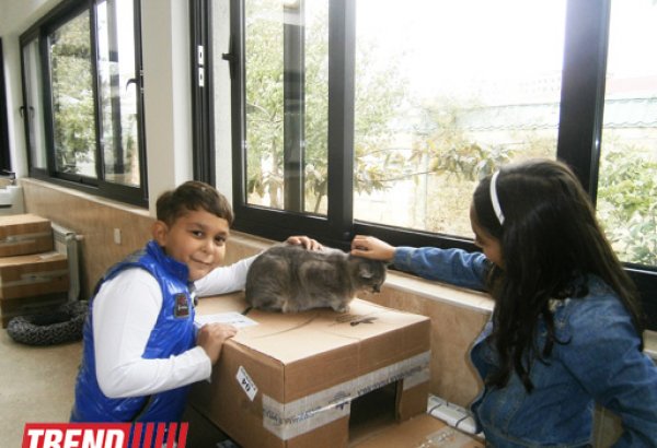 IDEA kampaniyası məktəblilərin diqqətini ətraf mühitin qorunmasına yönəldir (FOTO)