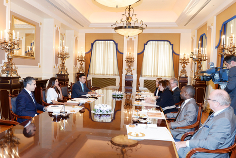 Mehriban Əliyeva Fransa Senatının üzvü, Senatın müşahidə missiyasının rəhbərinin başçılıq etdiyi nümayəndə heyəti ilə görüşüb (FOTO)