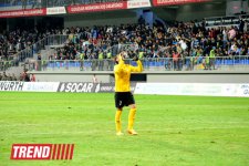 Millimiz Şimali İrlandiyanı məğlub etdi (FOTO)