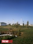 IDEA kampaniyası “Dünyanın ərzaq təhlükəsizliyi” mövzusunda seminar təşkil edib (FOTO)