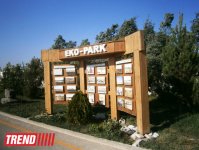 IDEA kampaniyası “Dünyanın ərzaq təhlükəsizliyi” mövzusunda seminar təşkil edib (FOTO)