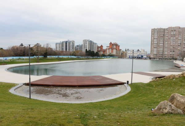 Bakının Dədə Qorqud parkında Novruz bayramı ilə əlaqədar ağacəkmə aksiyası keçirib