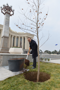 Prezident İlham Əliyev: Azərbaycanda hər bir sahə - təhsil, səhiyyə üzrə, ictimai proseslər çox müsbət istiqamətdə gedir (FOTO)
