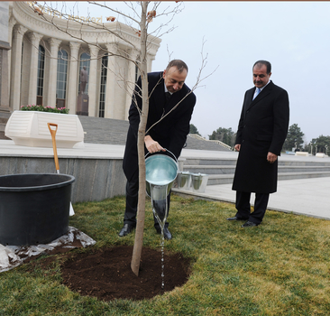 Prezident İlham Əliyev: Azərbaycanda hər bir sahə - təhsil, səhiyyə üzrə, ictimai proseslər çox müsbət istiqamətdə gedir (FOTO)