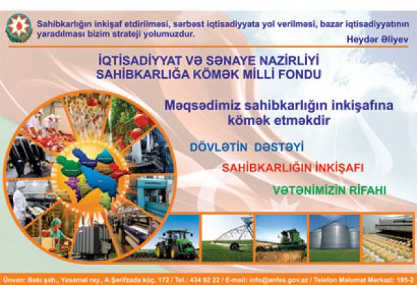 Lənkəranda 32 sahibkara 343,2 min manat güzəştli kredit verilib