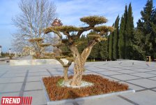 Müasirləşən Gəncənin yeni siması (FOTO)