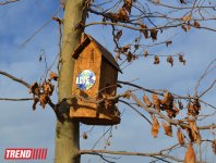 Müasirləşən Gəncənin yeni siması (FOTO)