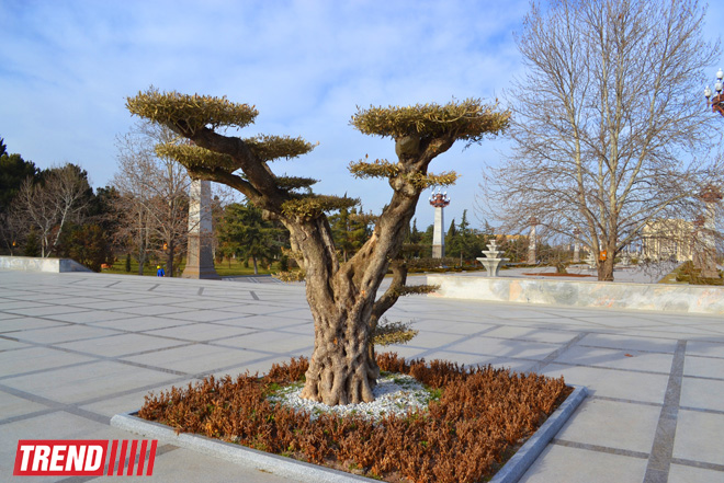 Müasirləşən Gəncənin yeni siması (FOTO)