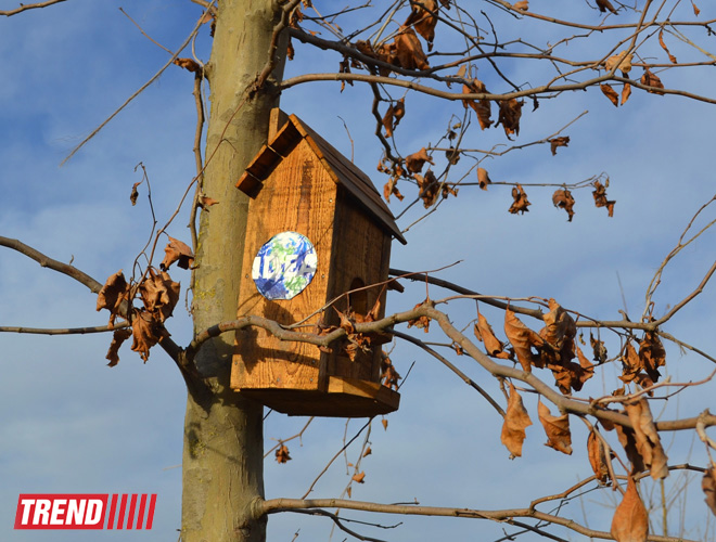 Müasirləşən Gəncənin yeni siması (FOTO)