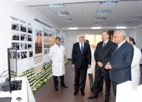 İlham Əliyev Azərbaycan kağız və karton istehsalat kombinatının açılışında iştirak edib (FOTO)