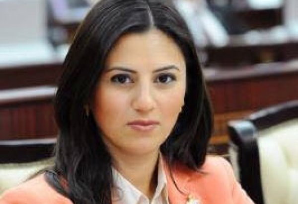 Sevinc Fətəliyeva: Şəffaf və ədalətli seçkilər Azərbaycanda demokratik siyasi sistemin başlıca göstəricisidir