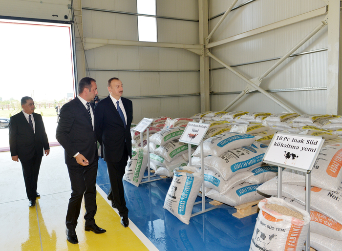 İlham Əliyev Ağdaşda Gilan yem emalı zavodunun açılışında iştirak edib  (FOTO)