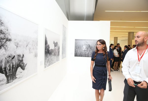 Mehriban Əliyeva Heydər Əliyev Mərkəzində Adrian Sternin "Afrikanın vəhşi təbiəti" adlı fərdi sərgisinə baxıb