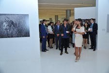 Mehriban Əliyeva Heydər Əliyev Mərkəzində Adrian Sternin "Afrikanın vəhşi təbiəti" adlı fərdi sərgisinə baxıb