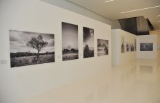 Mehriban Əliyeva Heydər Əliyev Mərkəzində Adrian Sternin "Afrikanın vəhşi təbiəti" adlı fərdi sərgisinə baxıb