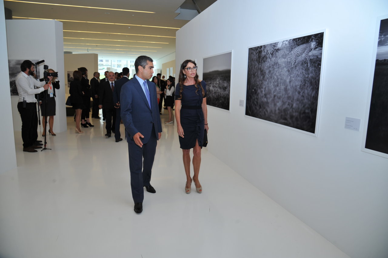 Mehriban Əliyeva Heydər Əliyev Mərkəzində Adrian Sternin "Afrikanın vəhşi təbiəti" adlı fərdi sərgisinə baxıb