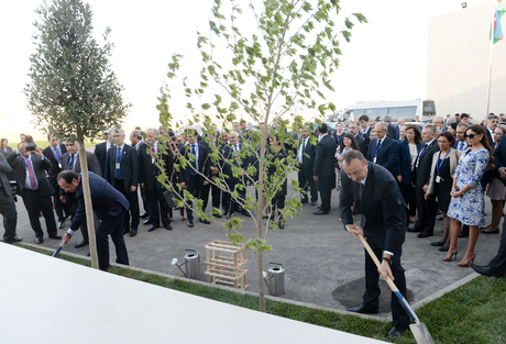 Prezident İlham Əliyev: Azərbaycan və Fransa arasında siyasi əlaqələrin yüksək səviyyədə olması başqa sahələrə də müsbət təsir edir (ƏLAVƏ OLUNUB) (FOTO)