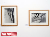 Heydər Əliyev Fondunun vitse-prezidenti Leyla Əliyeva məşhur fotoqraf Anri Kartye-Bressonun fərdi sərgisi ilə tanış olub (FOTO)