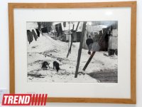 Heydər Əliyev Fondunun vitse-prezidenti Leyla Əliyeva məşhur fotoqraf Anri Kartye-Bressonun fərdi sərgisi ilə tanış olub (FOTO)