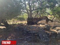 Qədim, sirli Şamaxı - Qəleybuğurt qalası, Kələxana türbəsi, Avaxıl qəbiristanlığı (FOTO)