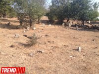 Qədim, sirli Şamaxı - Qəleybuğurt qalası, Kələxana türbəsi, Avaxıl qəbiristanlığı (FOTO)