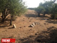 Qədim, sirli Şamaxı - Qəleybuğurt qalası, Kələxana türbəsi, Avaxıl qəbiristanlığı (FOTO)