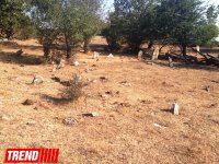 Qədim, sirli Şamaxı - Qəleybuğurt qalası, Kələxana türbəsi, Avaxıl qəbiristanlığı (FOTO)