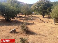 Qədim, sirli Şamaxı - Qəleybuğurt qalası, Kələxana türbəsi, Avaxıl qəbiristanlığı (FOTO)