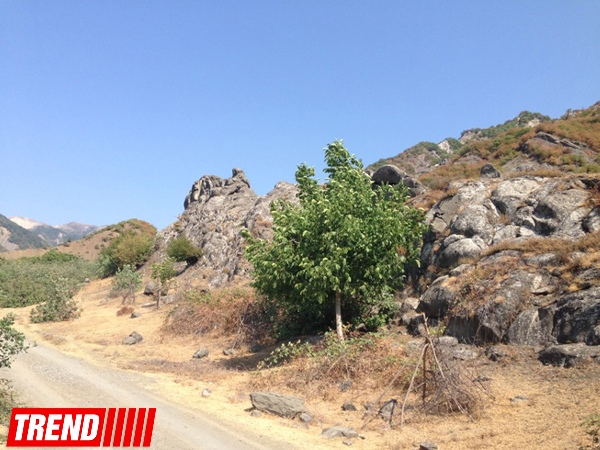 Qədim, sirli Şamaxı - Qəleybuğurt qalası, Kələxana türbəsi, Avaxıl qəbiristanlığı (FOTO)