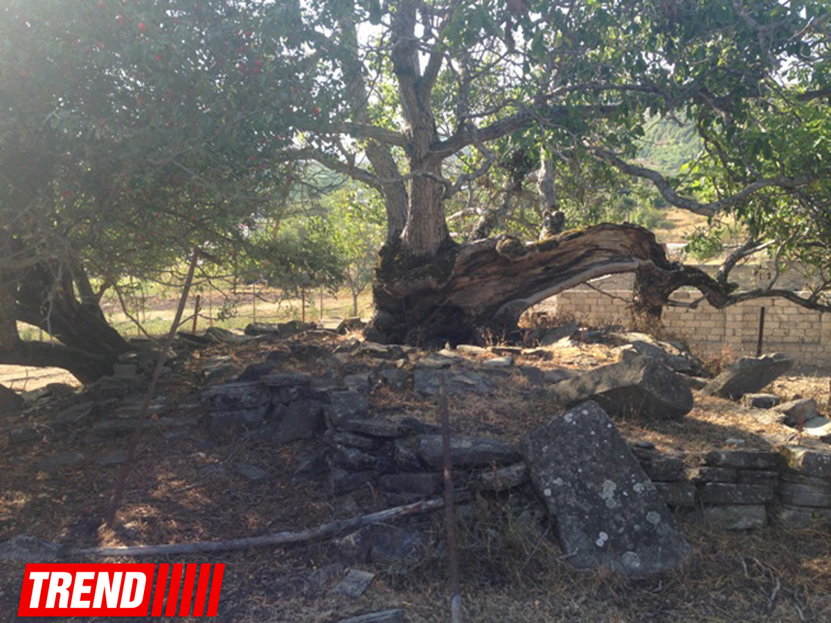 Qədim, sirli Şamaxı - Qəleybuğurt qalası, Kələxana türbəsi, Avaxıl qəbiristanlığı (FOTO)