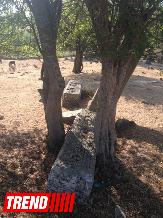 Qədim, sirli Şamaxı - Qəleybuğurt qalası, Kələxana türbəsi, Avaxıl qəbiristanlığı (FOTO)