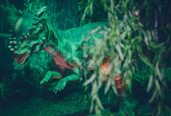 Dinozavrlar Bakının qonağı olacaqlar! (FOTO)