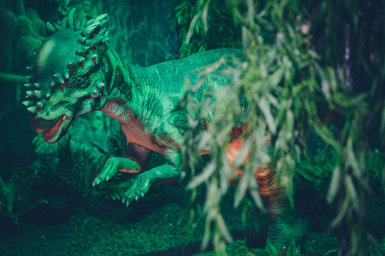 Dinozavrlar Bakının qonağı olacaqlar! (FOTO)