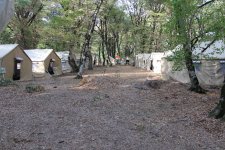 FHN-çilər səmti müəyyənetmə idmanı üzrə yarışıblar (FOTO)