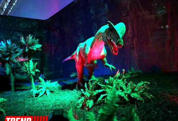 Bakıda möhtəşəm "Dinozavrlar şousu" açılıb - ulduzlar, uşaq və valideynlərin sevinci (FOTO)