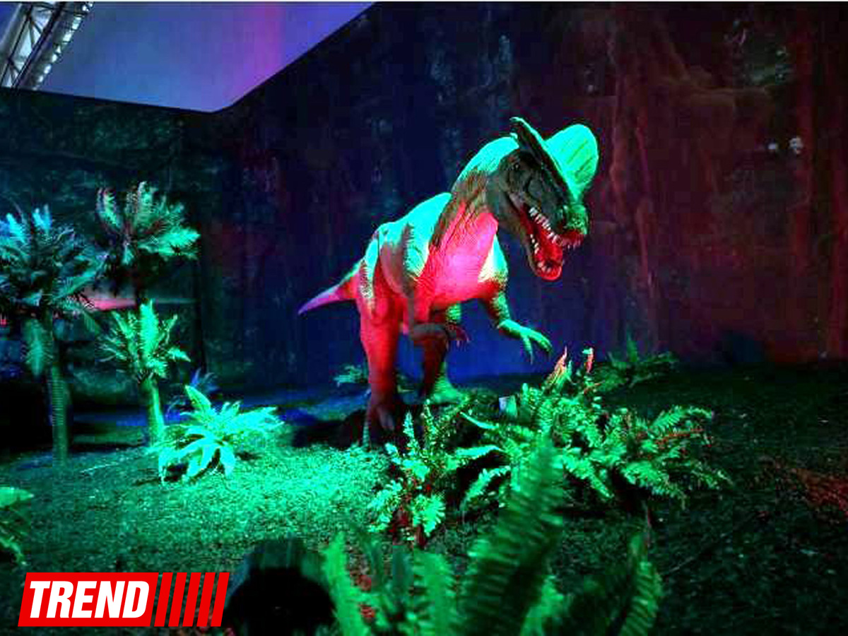 Bakıda möhtəşəm "Dinozavrlar şousu" açılıb - ulduzlar, uşaq və valideynlərin sevinci (FOTO)
