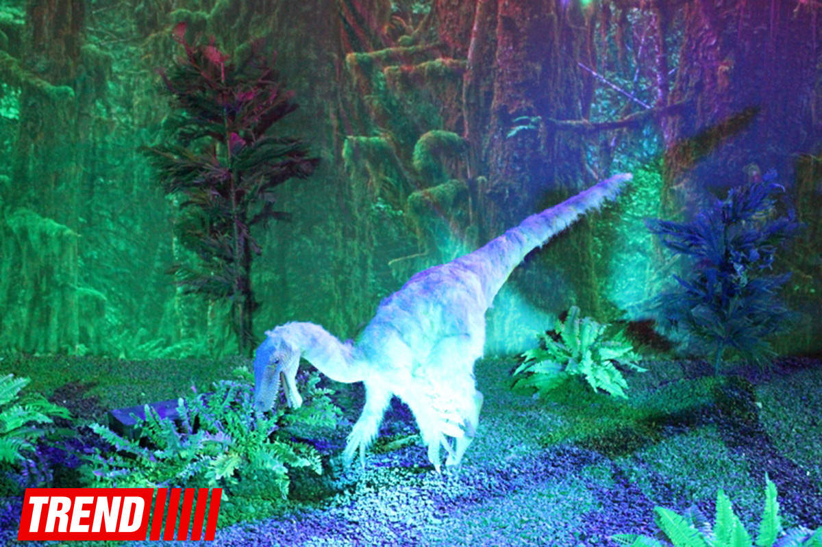 Bakıda möhtəşəm "Dinozavrlar şousu" açılıb - ulduzlar, uşaq və valideynlərin sevinci (FOTO)