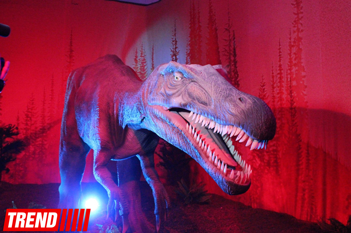 Bakıda möhtəşəm "Dinozavrlar şousu" açılıb - ulduzlar, uşaq və valideynlərin sevinci (FOTO)