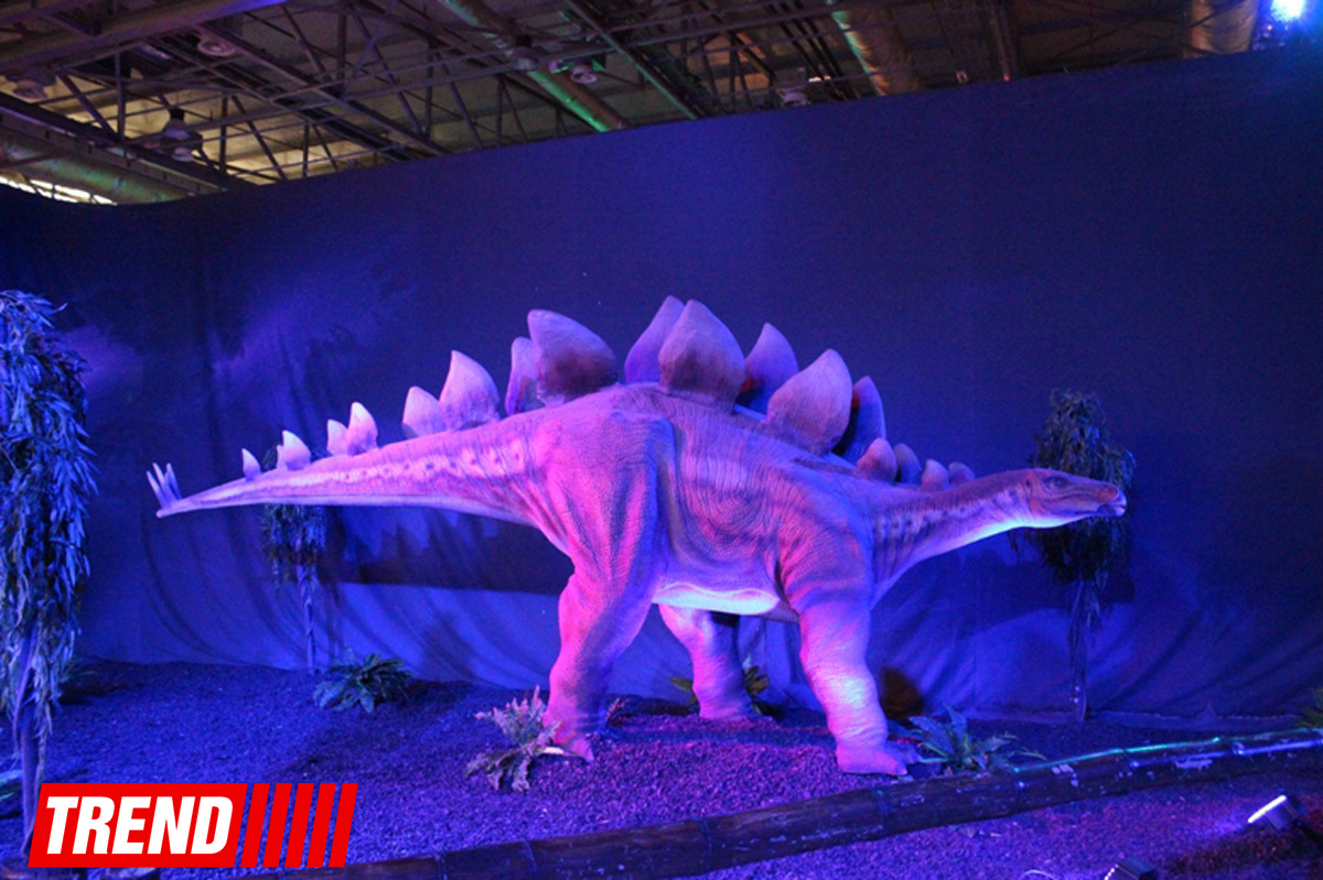Bakıda möhtəşəm "Dinozavrlar şousu" açılıb - ulduzlar, uşaq və valideynlərin sevinci (FOTO)