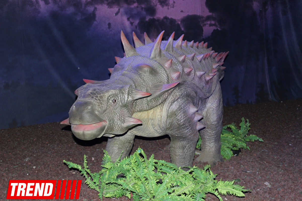 Bakıda möhtəşəm "Dinozavrlar şousu" açılıb - ulduzlar, uşaq və valideynlərin sevinci (FOTO)