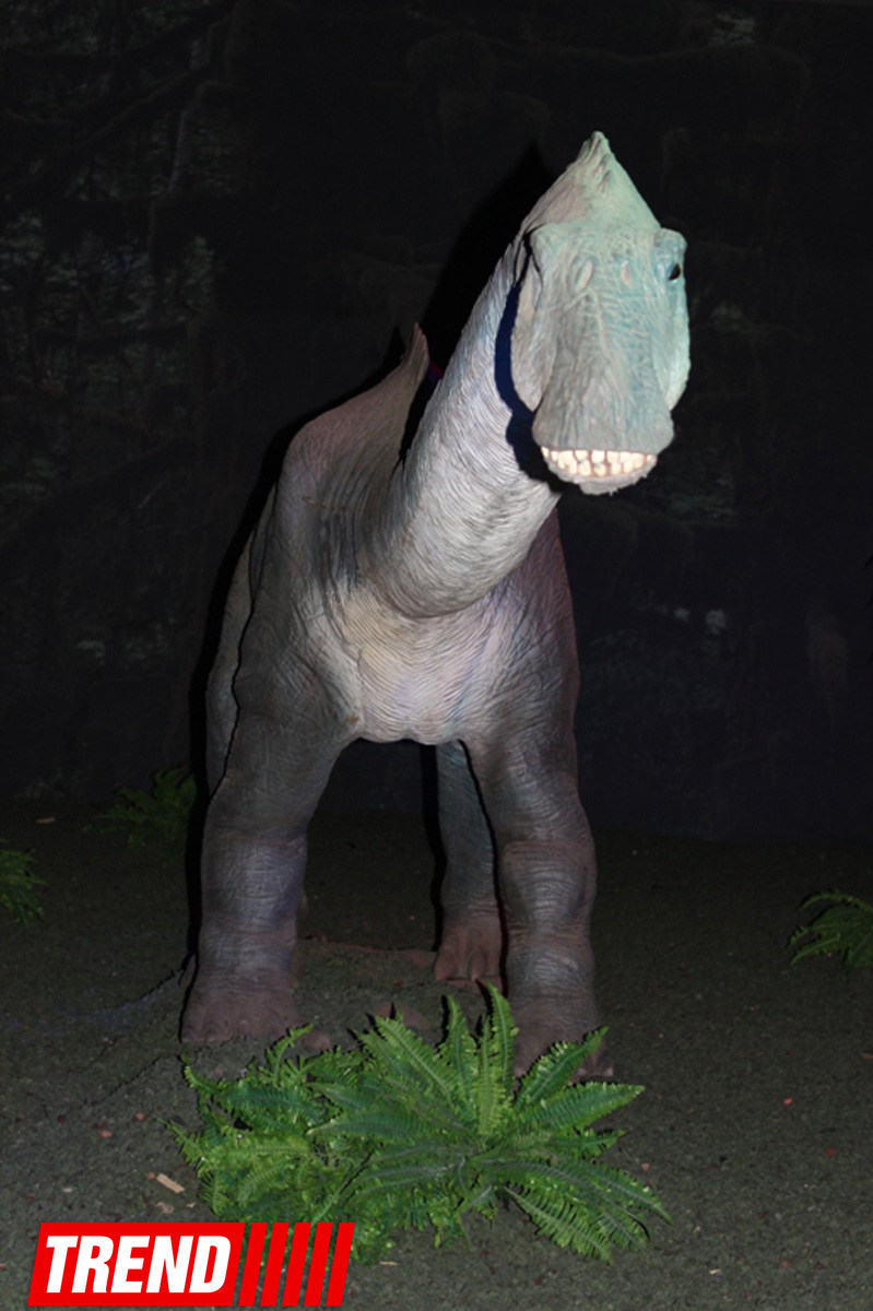 Bakıda möhtəşəm "Dinozavrlar şousu" açılıb - ulduzlar, uşaq və valideynlərin sevinci (FOTO)