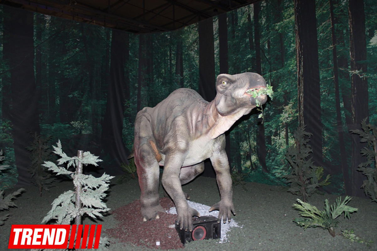 Bakıda möhtəşəm "Dinozavrlar şousu" açılıb - ulduzlar, uşaq və valideynlərin sevinci (FOTO)