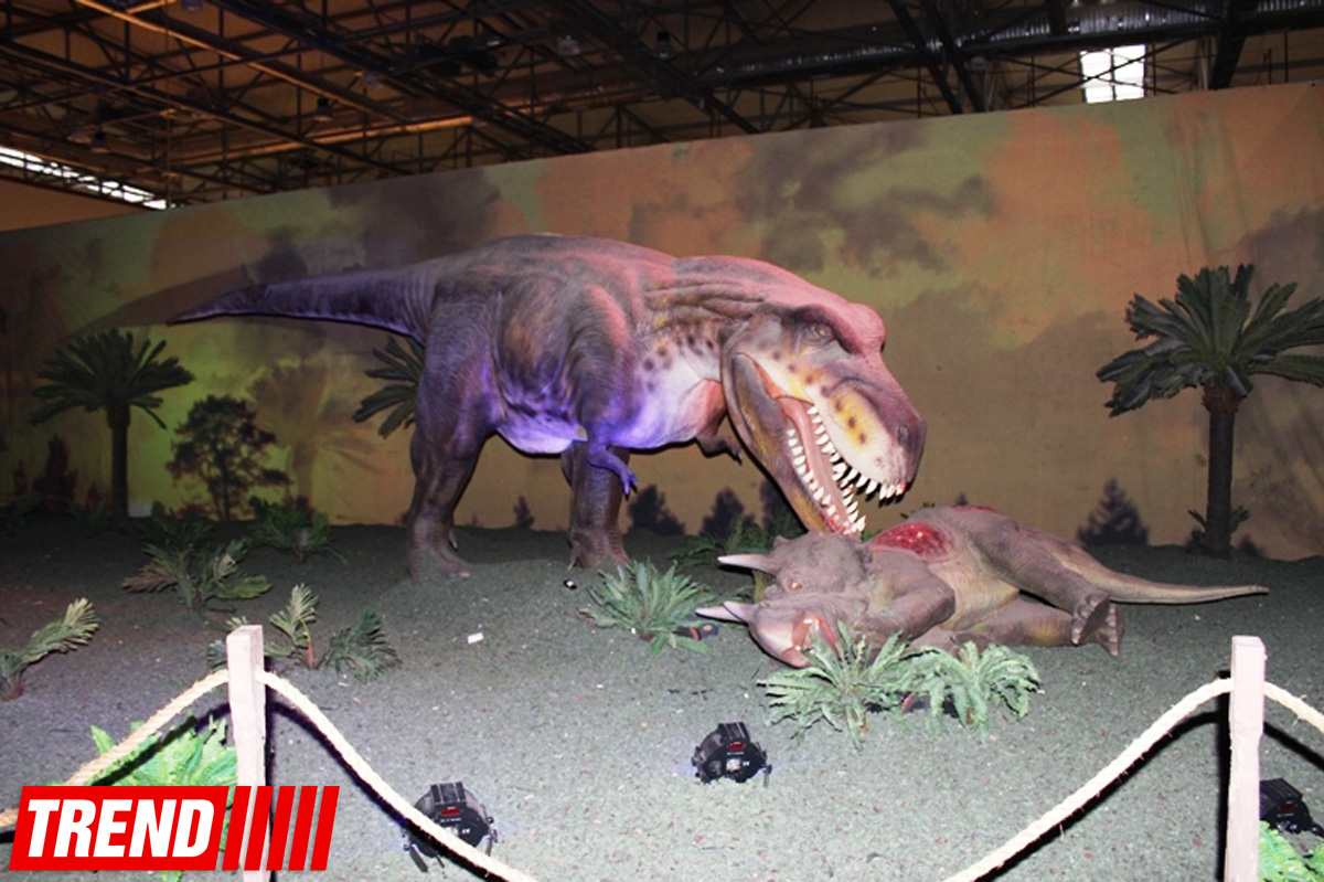 Bakıda möhtəşəm "Dinozavrlar şousu" açılıb - ulduzlar, uşaq və valideynlərin sevinci (FOTO)